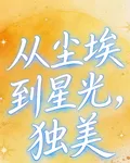 從塵埃到星光，獨美 封面