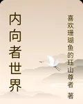 內向者世界 封面