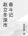 趙立冬深市奮鬥記 封面