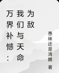 萬界補憾：我們與天命爲敵 封面