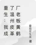 重生：我成了溫州皮革廠老闆黃鶴 封面