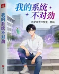 我的系統不對勁：林風 封面