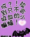 哎！撿到只不會吸血的小蝙蝠！ 封面