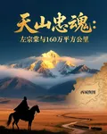 天山忠魂：左宗棠與160萬平方 封面