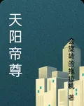 天陽帝尊 封面