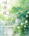 傾南觀赴千山 封面