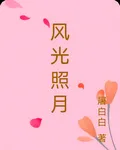 風光照月 封面