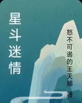 星斗迷情 封面
