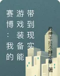 賽博：我的遊戲裝備能帶到現實 封面