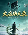 太虛劫天錄 封面