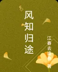 風知歸途 封面