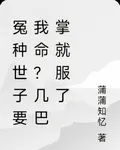 冤種世子要我命？幾巴掌就服了 封面