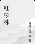 紅杉林 封面