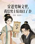 穿進男頻文裏我給男主績效打了D 封面