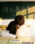 何以再少年 封面