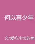 何以再少年 封面
