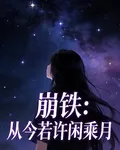 崩鐵：從今若許閒乘月 封面