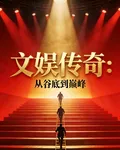 文娛傳奇：從谷底到巔峯 封面