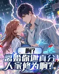 啊？離婚你還真分人家修爲啊？ 封面