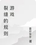 裂縫的規則遊戲 封面