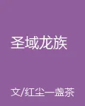 聖域龍族 封面