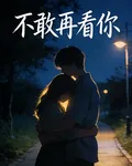 不敢再看你 封面