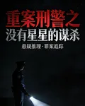 重案刑警之沒有星星的謀殺 封面