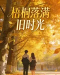 梧桐落滿舊時光 封面