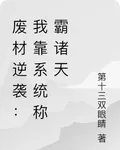 廢材逆襲：我靠系統稱霸諸天 封面