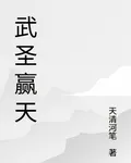 武聖贏天 封面
