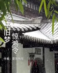 北平舊夢驚鴻令 封面