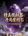 修真模擬器：開局紫精石 封面