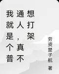 我就是個普通人，真不想打架 封面
