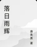 落日雨輝 封面