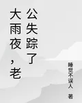 大雨夜，老公失蹤了 封面