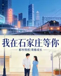 我在石家莊等你 封面