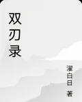 雙刃錄 封面
