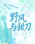 野風與甜刀 封面