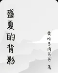 盛夏的背影 封面