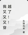 我又又又穿越了！！ 封面