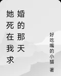 她死在我求婚的那天 封面