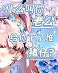 什麼叫你老公給你下了堆豬仔啊 封面