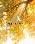 汽水與盛夏的心事 封面