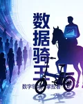 數據騎王 封面