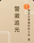 警徽追光 封面