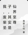 我，廢柴聖子，其實是仙界至尊 封面