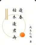枯木逢君再逢春 封面