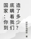 國家：你到底瞞着我們造了多少？ 封面