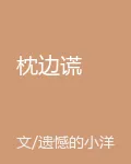 枕邊謊 封面