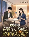 閃婚當天，你綁定資本家大小姐？ 封面